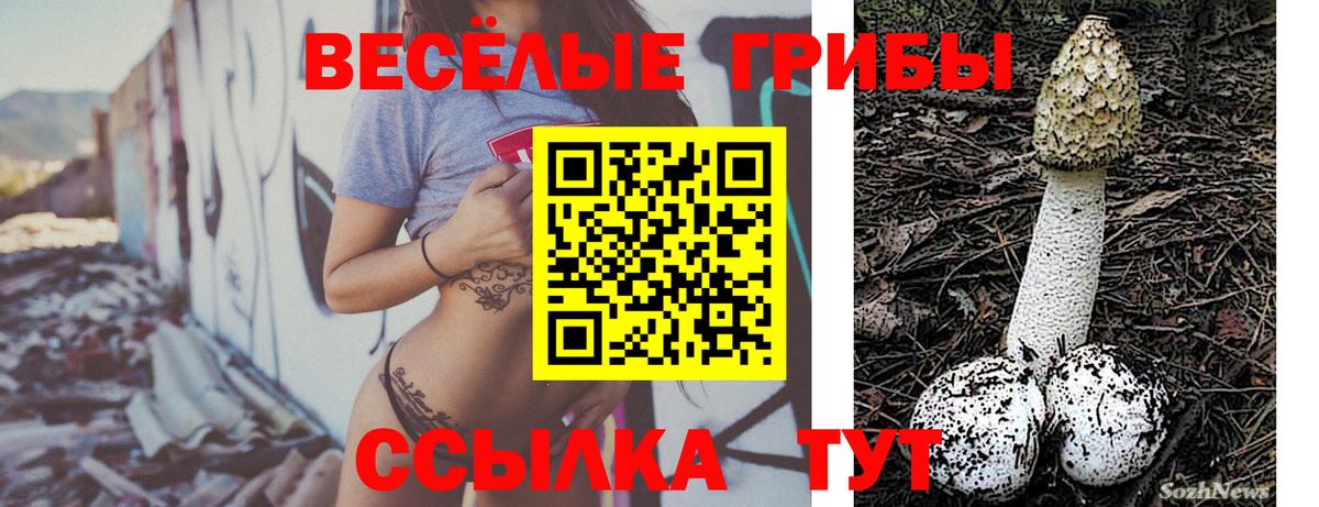 Псилоцибиновые грибы мухоморы Сочи